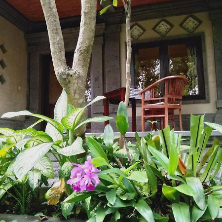 ウブド プラサンティ ベッド ＆ ブレックファースト Bed & Breakfast エクステリア 写真